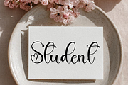 Stay Spring, a Handwritten Font by FreshTypeINK (Thumbnail 8 of 8)