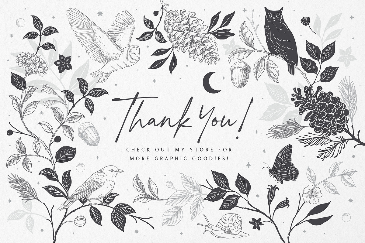 Woodland Wonders: 2 in 1 Graphic Set, a Decorative Illustration by rouxsupplyco (Photo 32 of 32)