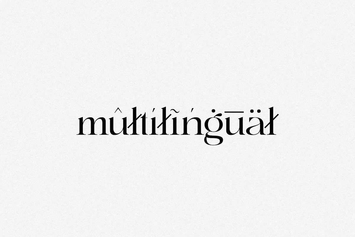 Anomaly - Elegant Serif, a Serif Font by Schrifted Type (Photo 8 of 8)