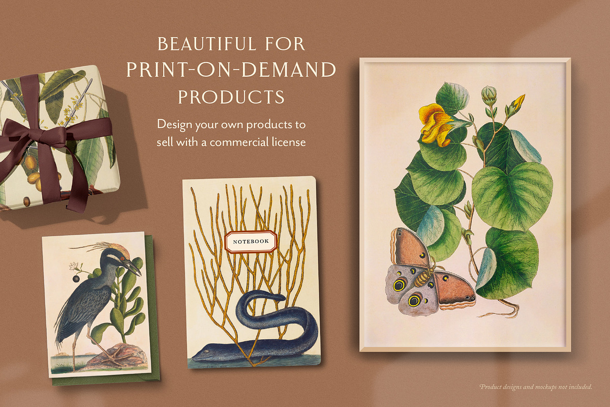 Vintage Natural History Printable Art