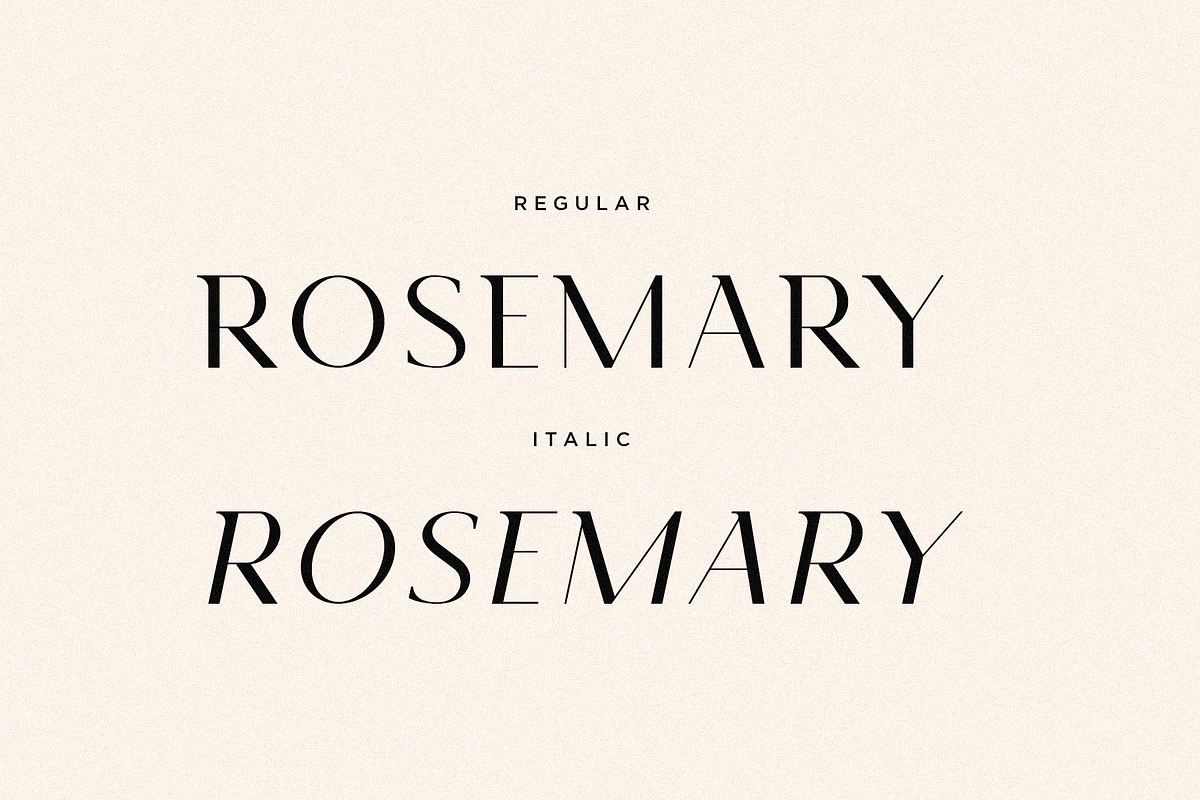 Rosemary - Modern Semi Serif, a Serif Font by Mikhail Fukurou (Photo 8 of 9)