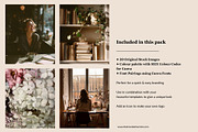 Vintage Vibes Brand Kit+Stock Images, a Branding & Logo Template by The Brand Alchemists (Thumbnail 6 of 10)
