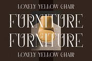 Hanchern Display Serif Font, a Serif Font by Storytype Studio (Thumbnail 5 of 15)