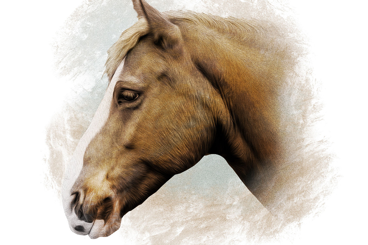 Horse Illustration, an Animal Illustration by Digital Art Downloads (Photo 3 of 4)
