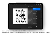 Procreate Brush Stamps - Celandine, a Brush Add-On by Gabba Delgado (Thumbnail 2 of 4)