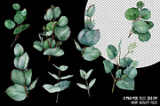 Watercolor eucalyptus leaves clipart, an Illustration by yana.fefelova (Thumbnail 3 of 5)