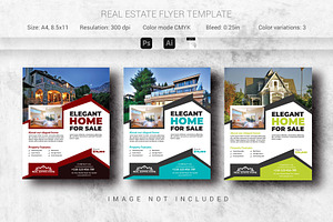 Real Estate Flyer Template (Editable