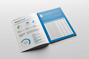 Annual Report Brochure, a Brochure Template by New Lines (Thumbnail 10 of 13)