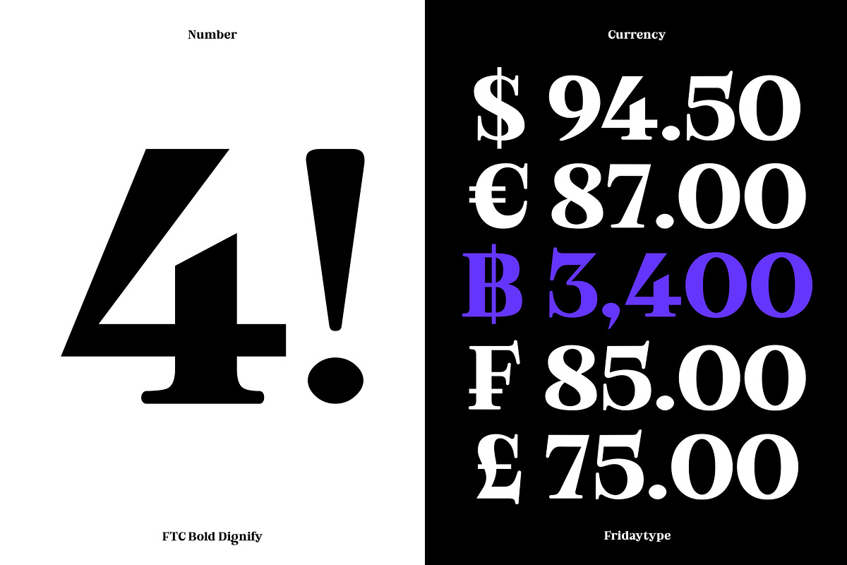 Bold Dignify - Minimalist Calm Serif, a Serif Font by Fridaytype (Photo 10 of 12)