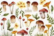 Mushroom Watercolor Fall Graphics, an Illustration by Red Ink (Thumbnail 8 of 9)