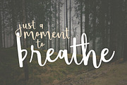 Shorthalt, a Script Font by Brittney Murphy Design (Thumbnail 2 of 5)