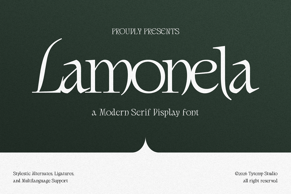 Lamonela - Serif Display Font, a Serif Font by Typetemp Studio (Photo 1 of 21)