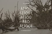 Driftwood, a Serif Font by Fairwren Creative (Thumbnail 4 of 6)