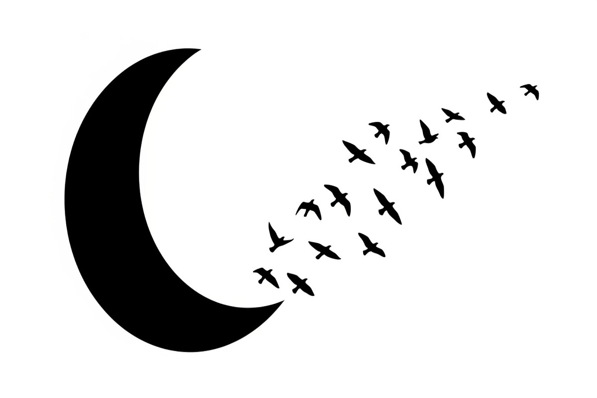 Flying Birds Moon SVG Bundle, an Illustration by yasushie (Photo 25 of 31)
