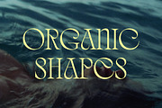 Quelia - Organic Display Font, a Serif Font by Piotr Łapa (Thumbnail 12 of 12)