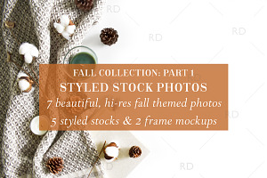 Styled Stock Photography: Fall Part1, a Print Template by RissDesign