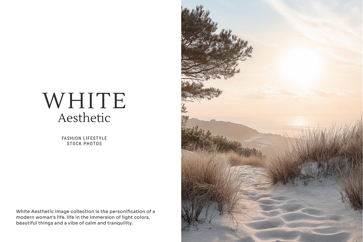 White Aesthetic - 150 Stock Photo, a Beauty & Fashion Photo by Digital Blood (Photo 9 of 12)