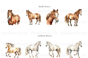 Racing Horse Clipart, Horse Breeds