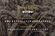 Willow Font - 50% Off, a Font by Shop (Thumbnail 2 of 6)