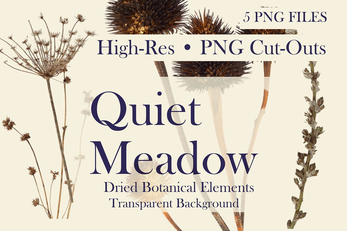 Quiet Meadow — Dried Meadow Botanica, an Object Graphic by Aga Silva (Photo 3 of 4)