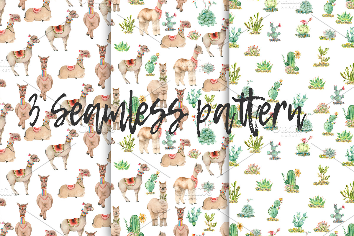 Lama in cactus collection, an Animal Illustration by IvanFet (Photo 5 of 5)