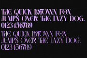 However - Pixel Serif Font, a Serif Font by 177Studio (Thumbnail 7 of 8)