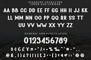 Chalkzone, a Script Font by FreshTypeINK (Thumbnail 4 of 8)