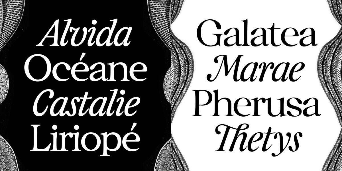 Caliste Text, a Serif Font by A is for... (Photo 2 of 10)