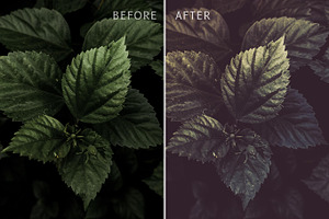 20 Moody Lightroom Presets Pack