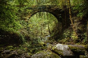 Moss-Covered Stone Bridge in a Lush, a Nature Photo by Perpis