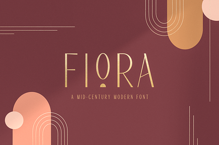 Fiora Font | Modern Display + Extras