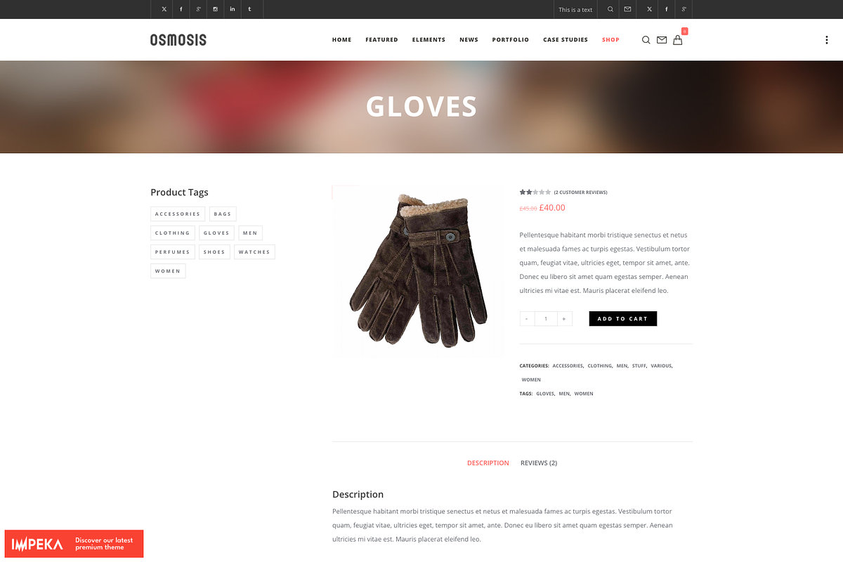 Multi-Purpose WordPress Theme, a WordPress Template by UInstrument (Photo 7 of 10)