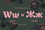 Datura —Fantasy Retro Brush, a Sans Serif Font by Pedroglifos (Thumbnail 3 of 12)