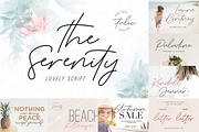 Best Wedding Bundle Font - 90% OFF, a Script Font by Dharmas Foundry (Thumbnail 10 of 17)