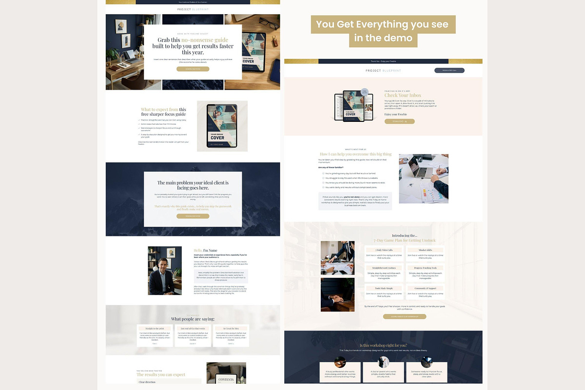 Systeme.io Blueprint Lead funnel, a Landing Page Template by Hayley's Digital Hub (Photo 6 of 10)