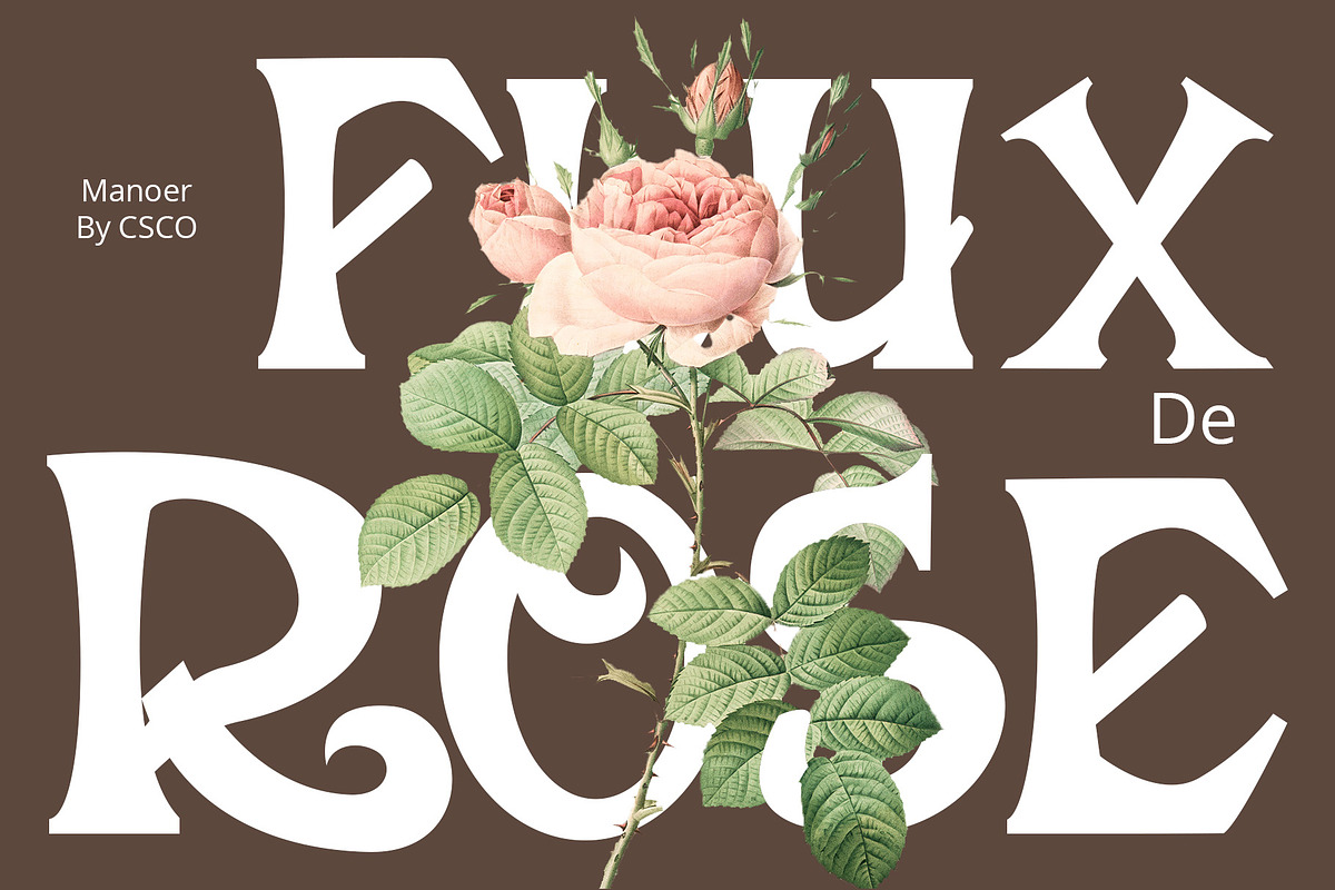 Manoer – Display Serif, a Serif Font by Craft Supply Co. (Photo 2 of 8)