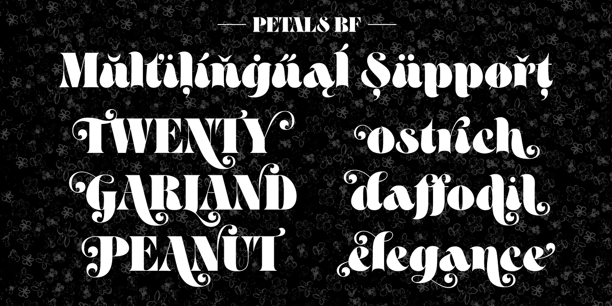 Petals BF, a Serif Font by Bomparte’s Fonts (Photo 8 of 11)