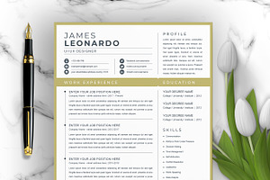 CV, 1 Page Resume Template Word