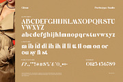 Gliran Elegant Serif Font, a Serif Font by Perfectype (Thumbnail 8 of 8)