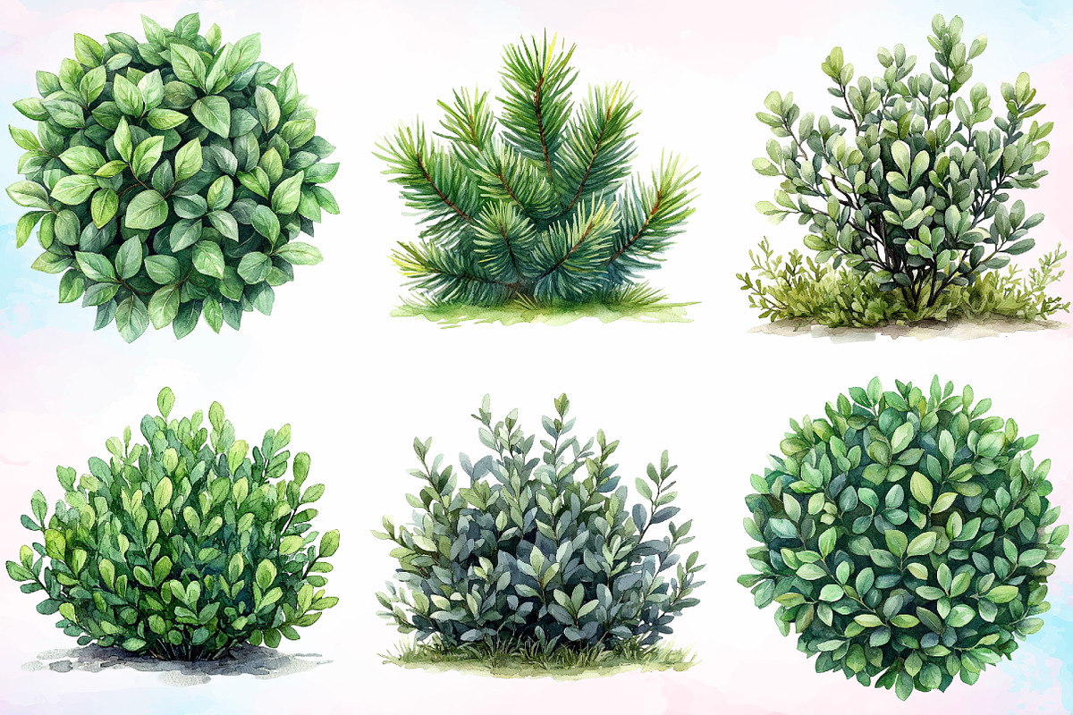 Watercolor Bushes Clipart Bundle, an Illustration by Canvas Craft (Photo 5 of 5)