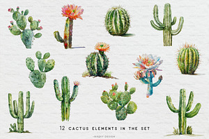 Watercolor Cactus Set