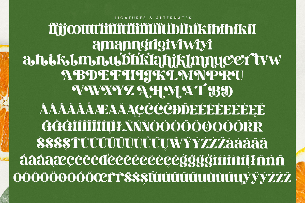 Dream Silvers Modern Serif Font, a Serif Font by timelesstype.co (Photo 19 of 20)