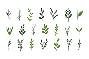 110 Colorful Floral Clipart, an Object Graphic by Zeukaa (Thumbnail 6 of 7)