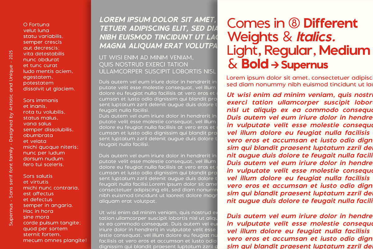 Supernus - Sans serif Font Family, a Sans Serif Font by Artistic & Unique (Photo 7 of 15)