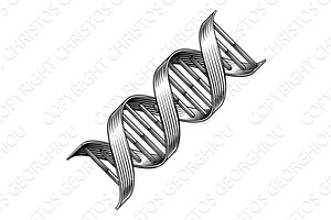 DNA Double Helix Strand Spiral, an Illustration by Christos Georghiou
