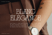 Alorisse – Editorial Ligature Font, a Font by SilverStag Type Foundry (Thumbnail 13 of 20)