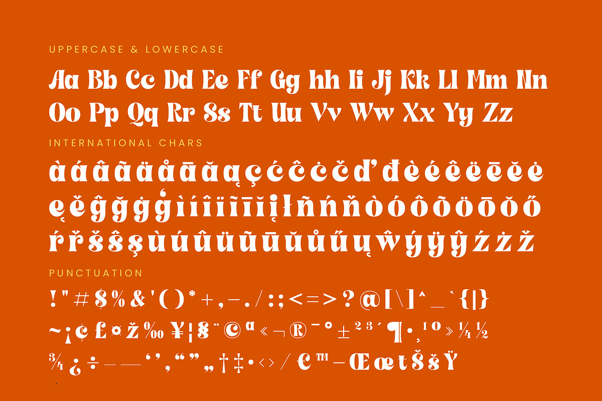Shyne Roska Groovy Retro Serif, a Serif Font by timelesstype.co (Photo 19 of 20)