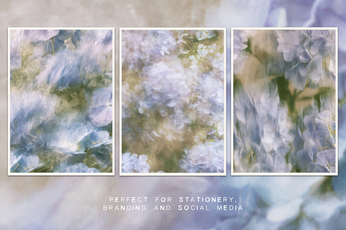 June Bloom Floral Backgrounds, a Background Graphic by lerinartstudio (Photo 5 of 11)