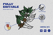 Coffee Illustration Pack, a Food Illustration by Eldorado Design Co. (Thumbnail 4 of 9)
