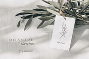 Minimalist floral botanical line art, a Decorative Illustration by Madiwaso (Thumbnail 8 of 9)